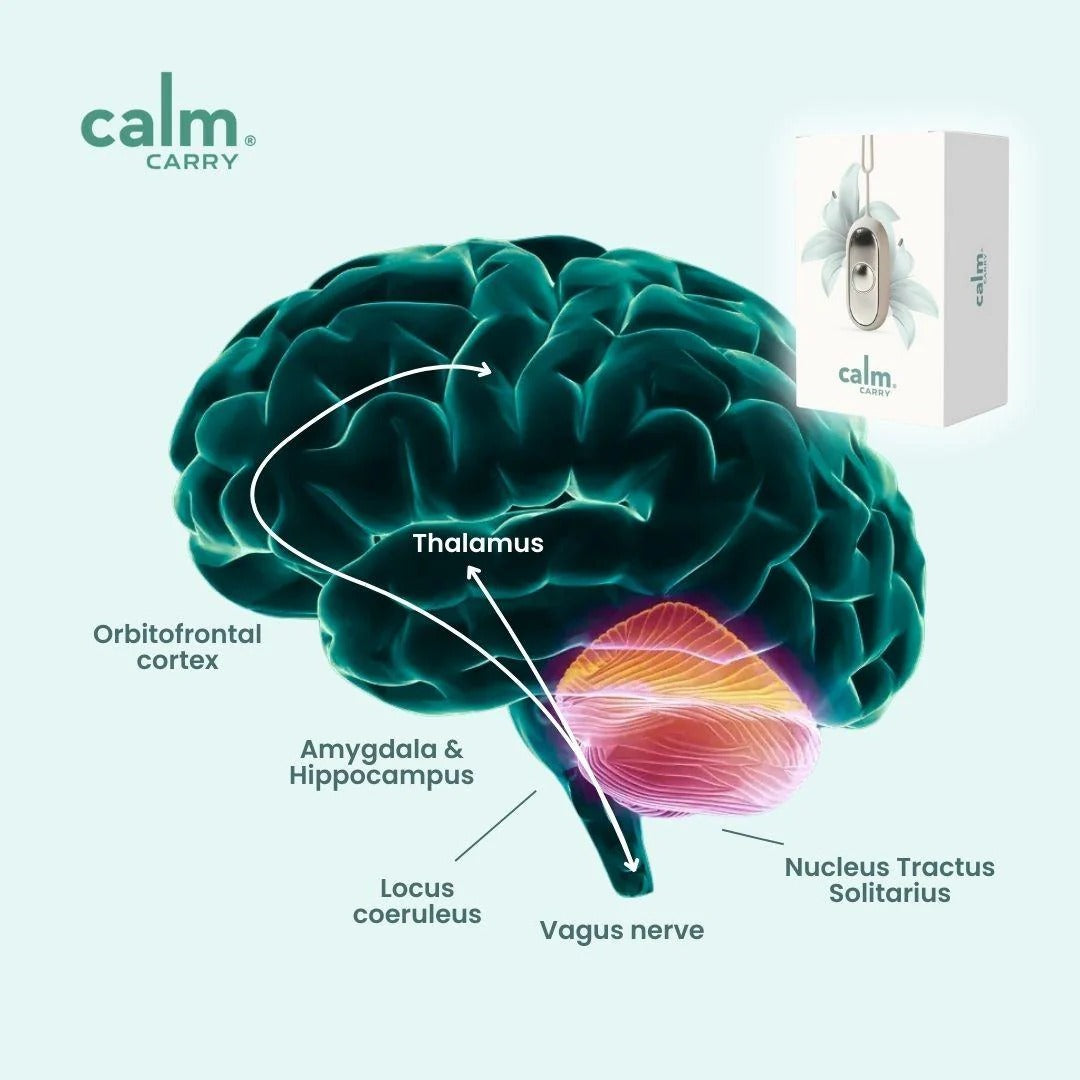 CalmCarry® – Dispositivo Neurológico Con Tecnología NeuroBalance™ Para La Ansiedad, Dormir Y Relajarte Al Instante.