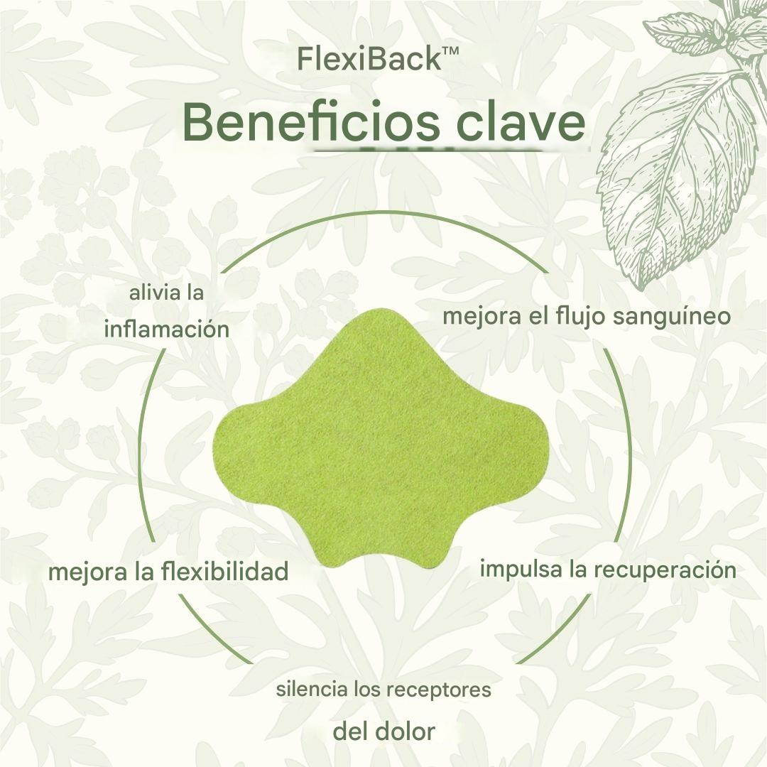 FlexiBack™️ - Parches naturales con calor para el dolor de espalda x10