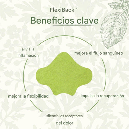 FlexiBack™️ - Parches naturales con calor para el dolor de espalda x10