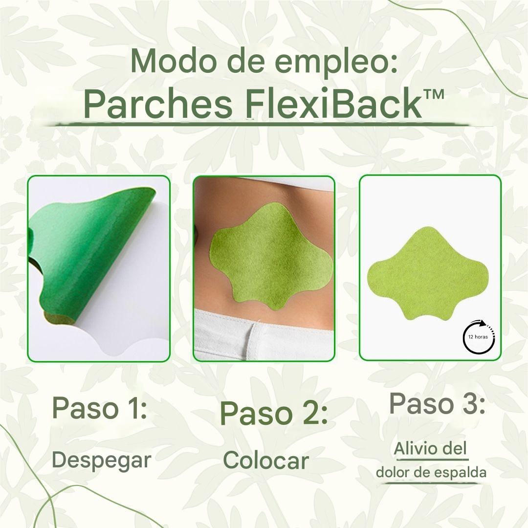 FlexiBack™️ - Parches naturales con calor para el dolor de espalda x10