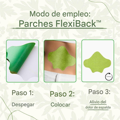 FlexiBack™️ - Parches naturales con calor para el dolor de espalda x10