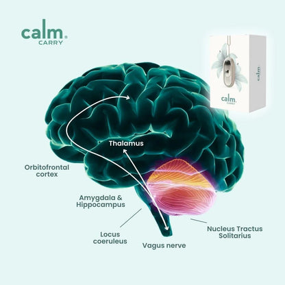 CalmCarry® – Dispositivo Neurológico Con Tecnología NeuroBalance™ Para La Ansiedad, Dormir Y Relajarte Al Instante.